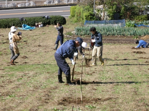 見本林の植栽風景