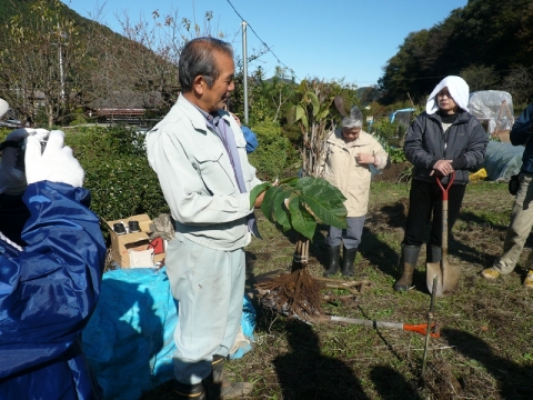 植えるにあたって、神長組合長（当時は副組合長）より植え方の指導を頂く